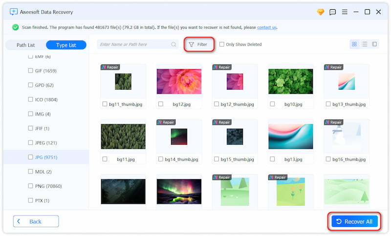 .Click “Recover All” to restore them to a safe location